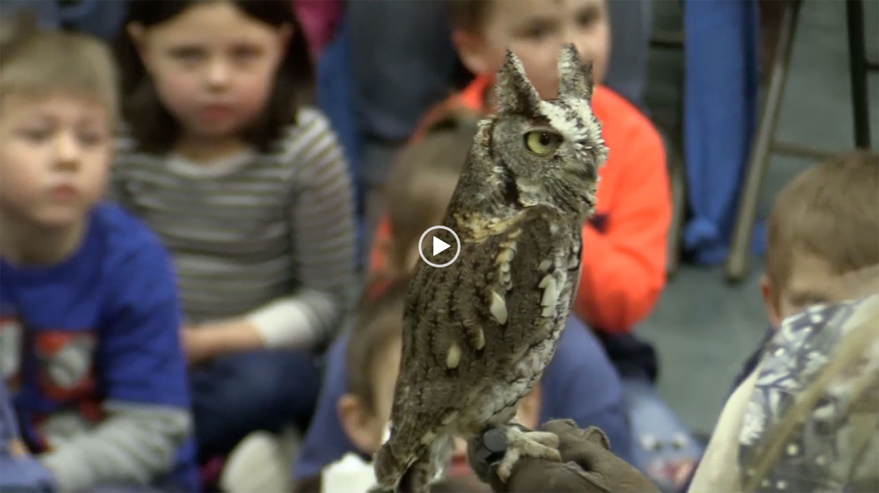 TLC at Sandown Central TRSD Preschool and Kindergarten Early Learning Center